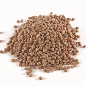 BROWN LENTILS 1 X 25KG